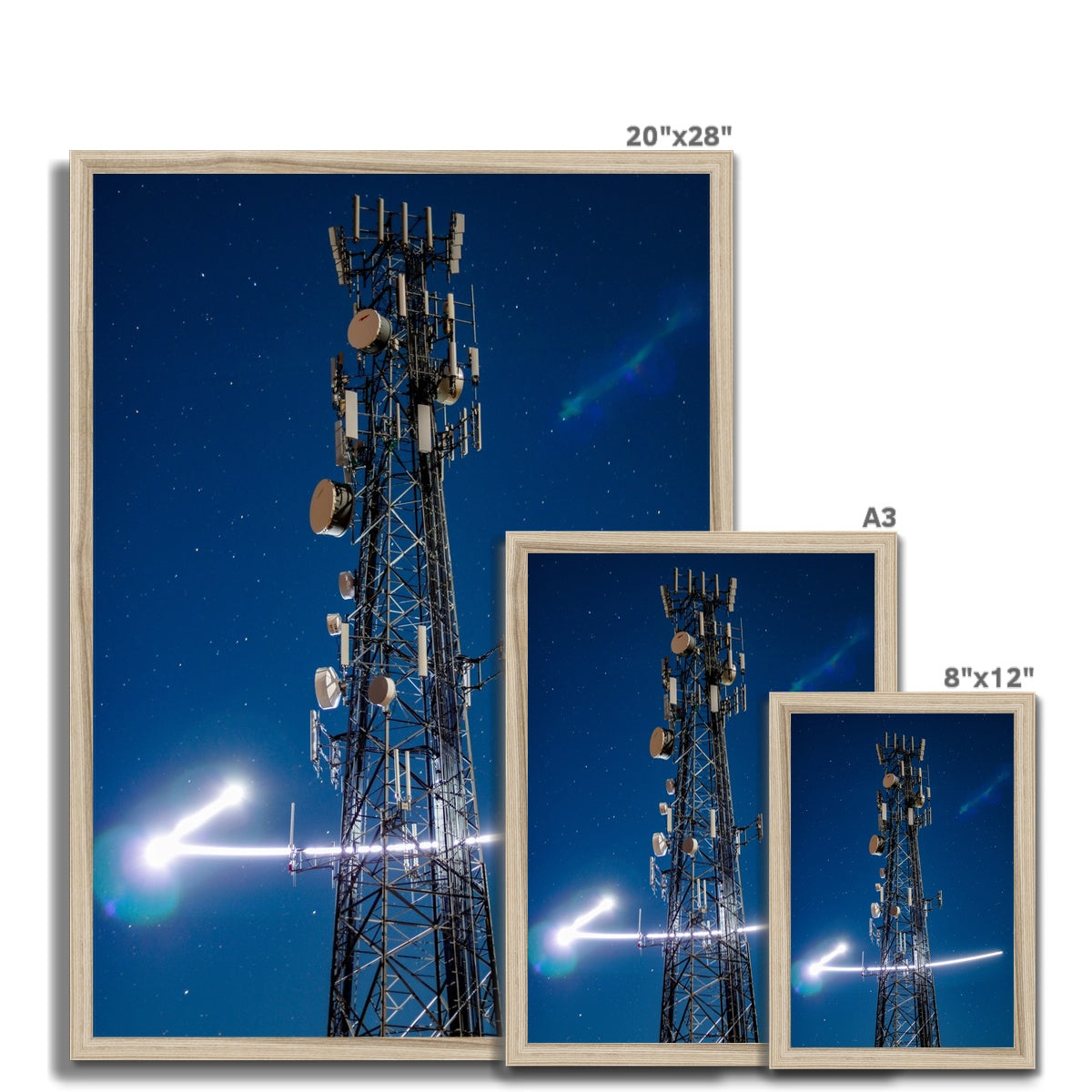 Silver Wings Framed Print