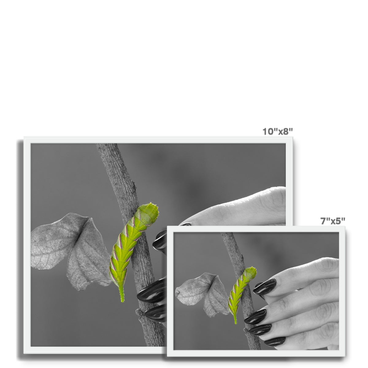 Squeaks Framed Photo Tile