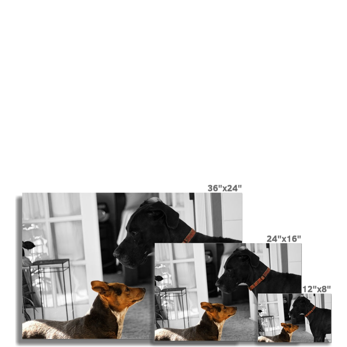 When I Move, You Move Rolled Canvas