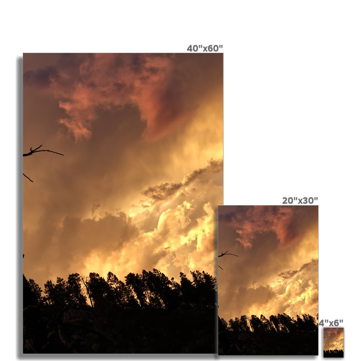 Tilted World Hahnemühle Photo Rag Print