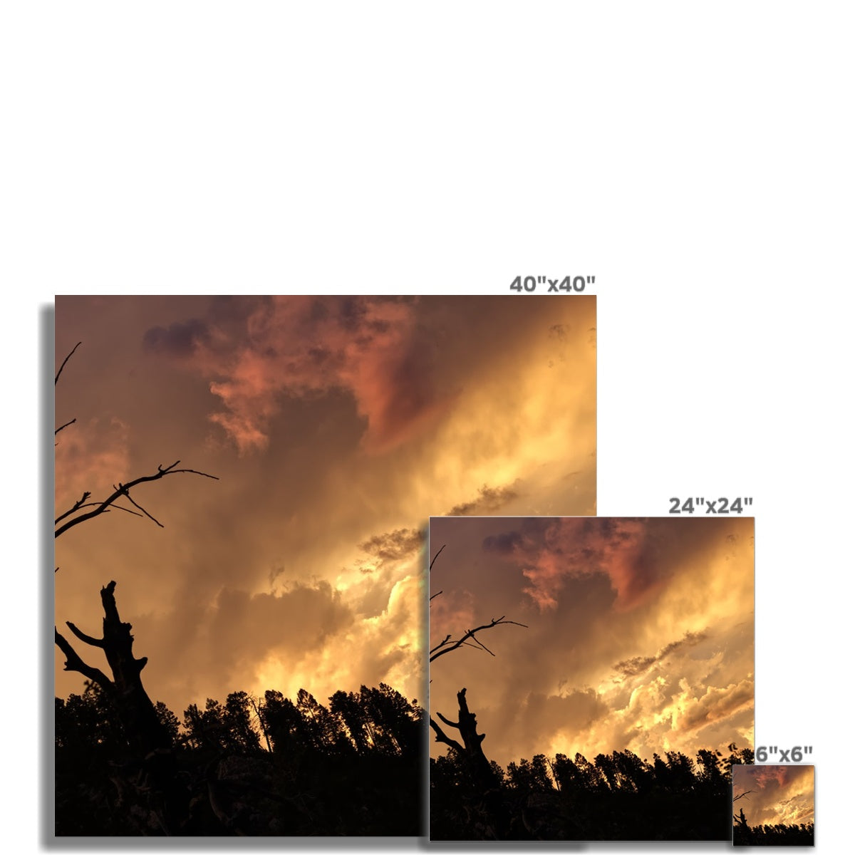 Tilted World Hahnemühle German Etching Print