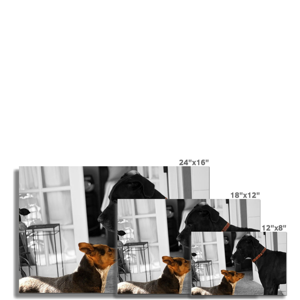 When I Move, You Move Hahnemühle Photo Rag Print