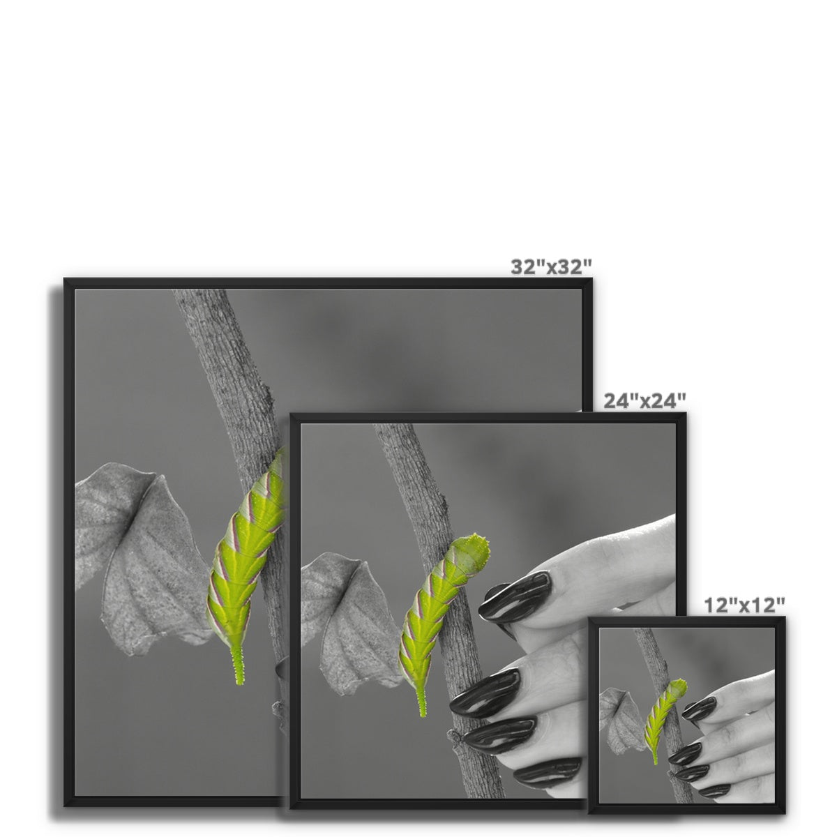 Squeaks Framed Canvas