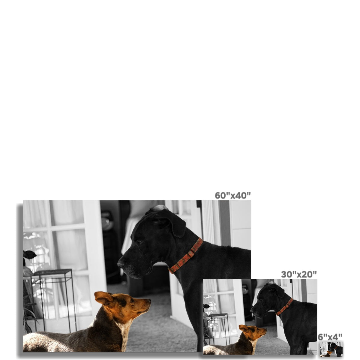 When I Move, You Move Hahnemühle German Etching Print