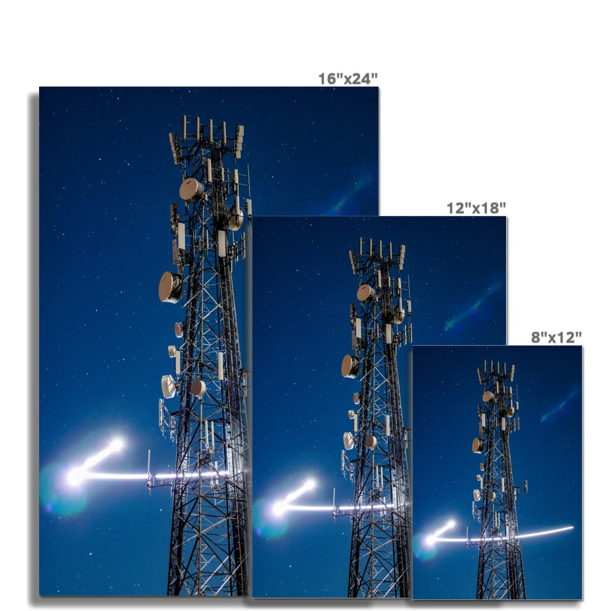 Silver Wings C-Type Print