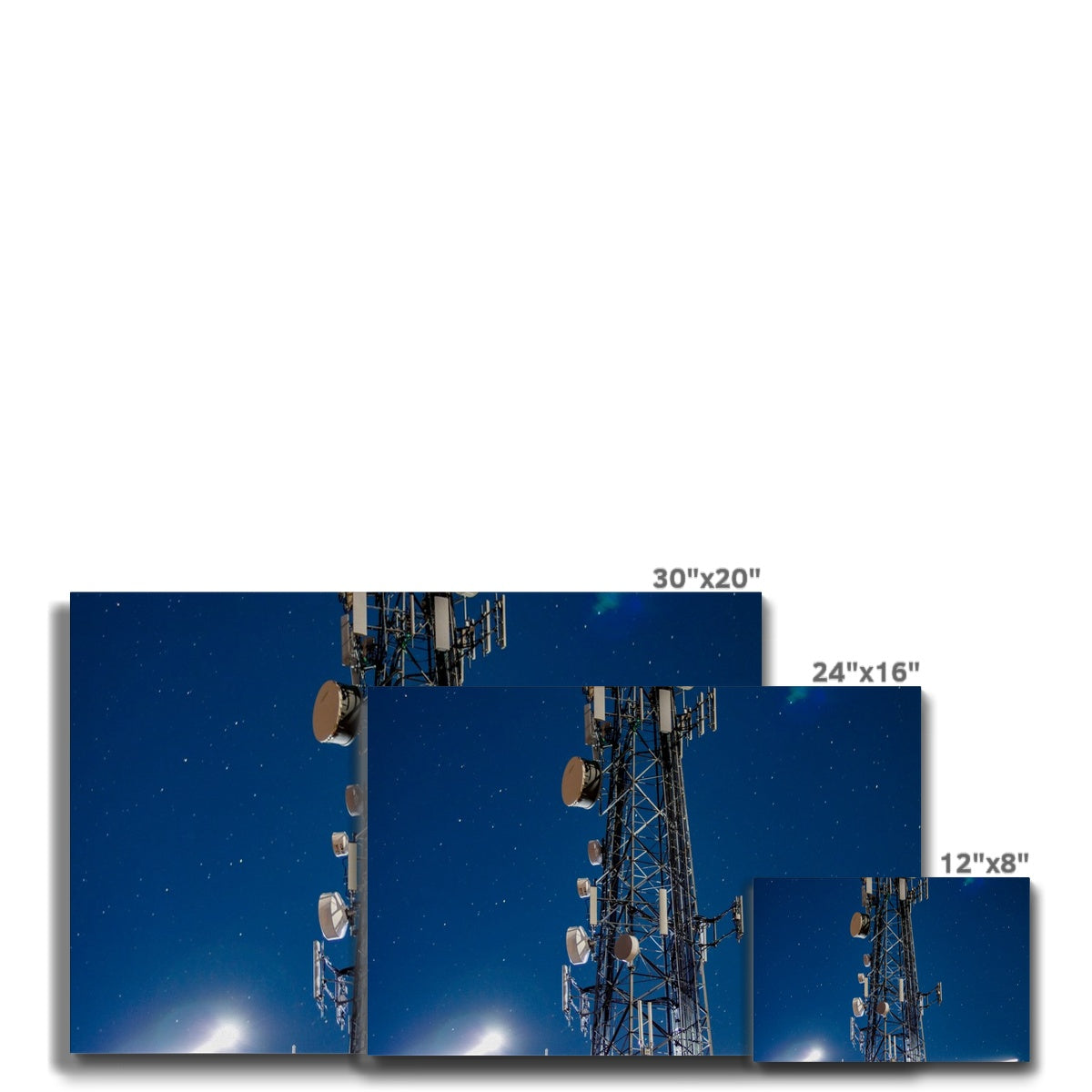 Silver Wings Eco Canvas