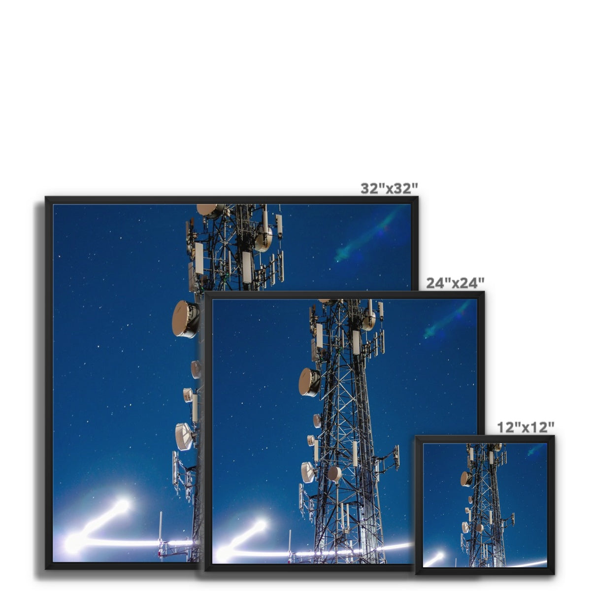 Silver Wings Framed Canvas