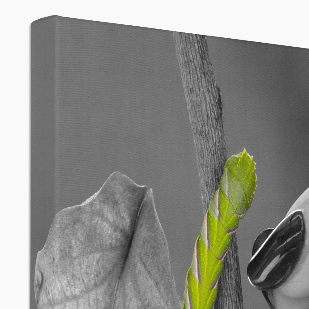 Squeaks Eco Canvas