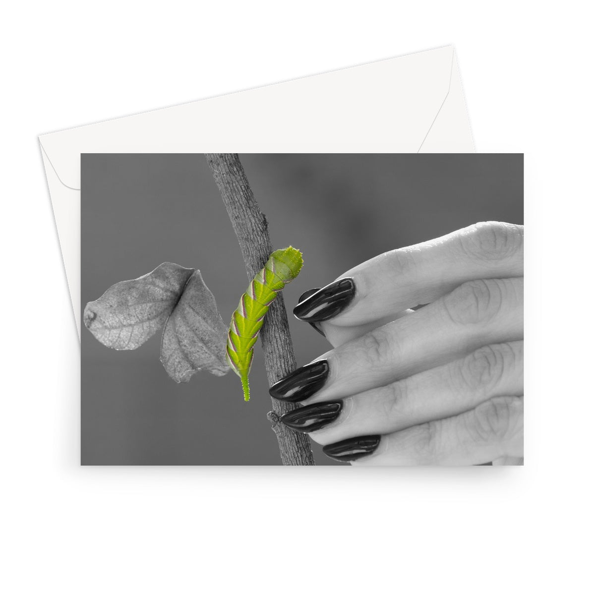 Squeaks Greeting Card