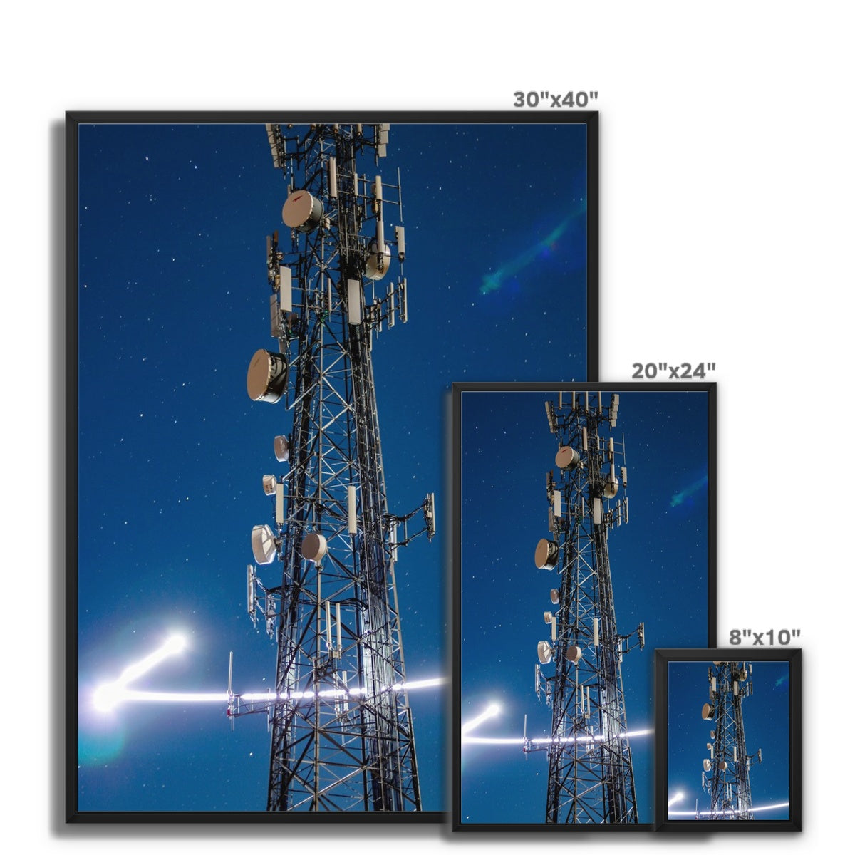 Silver Wings Framed Canvas