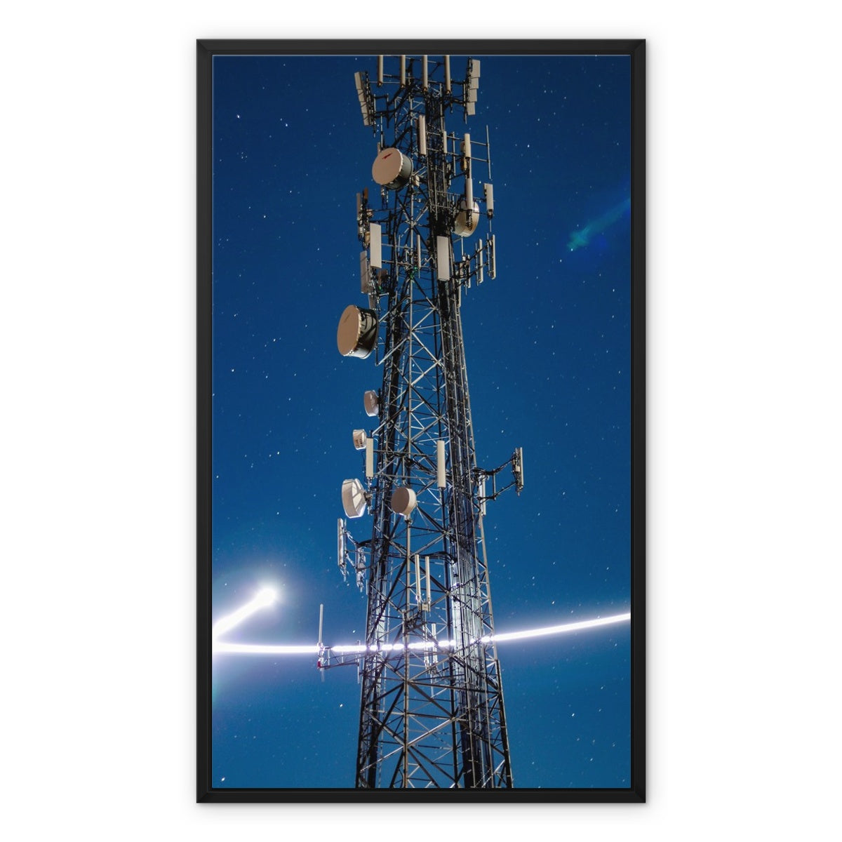 Silver Wings Framed Canvas