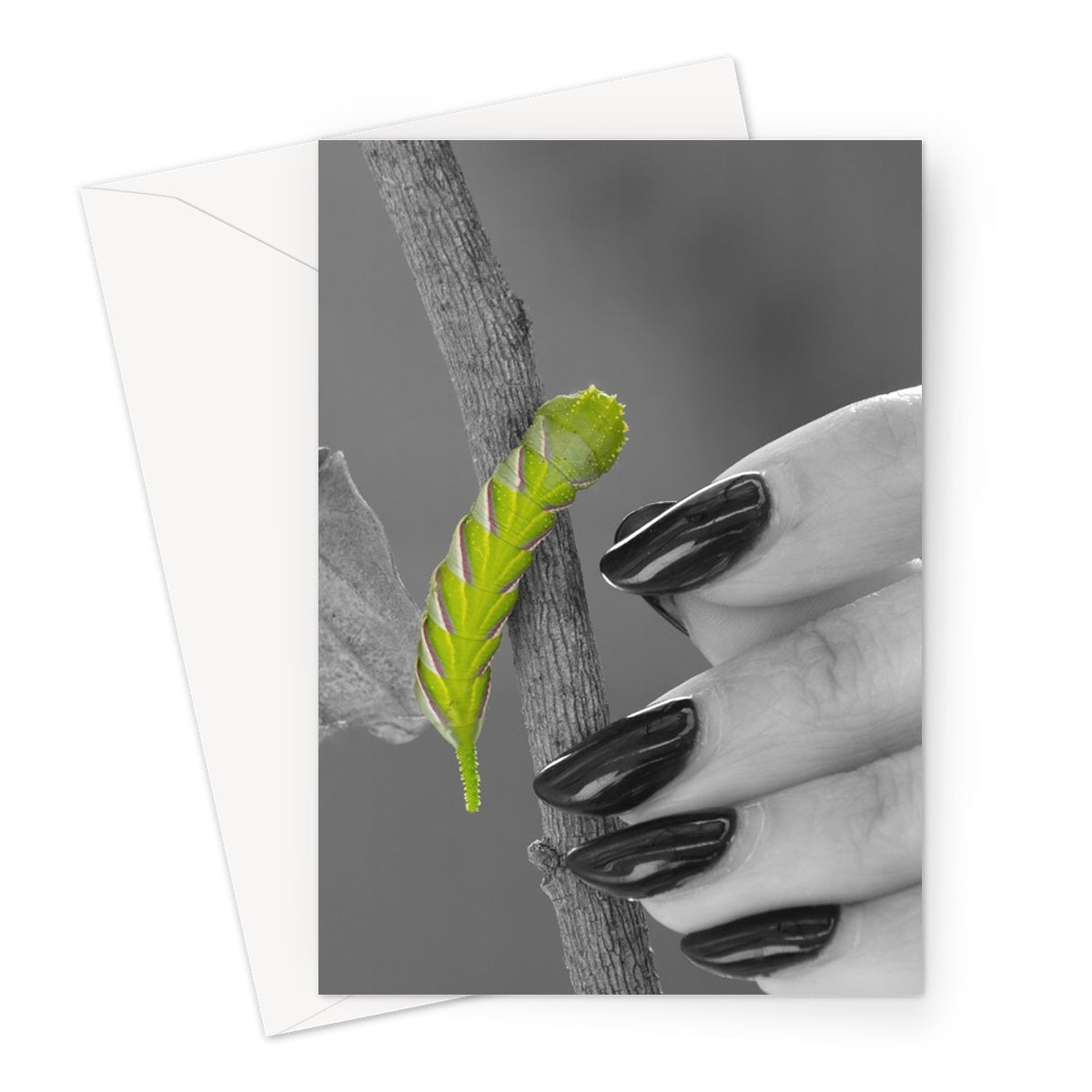 Squeaks Greeting Card