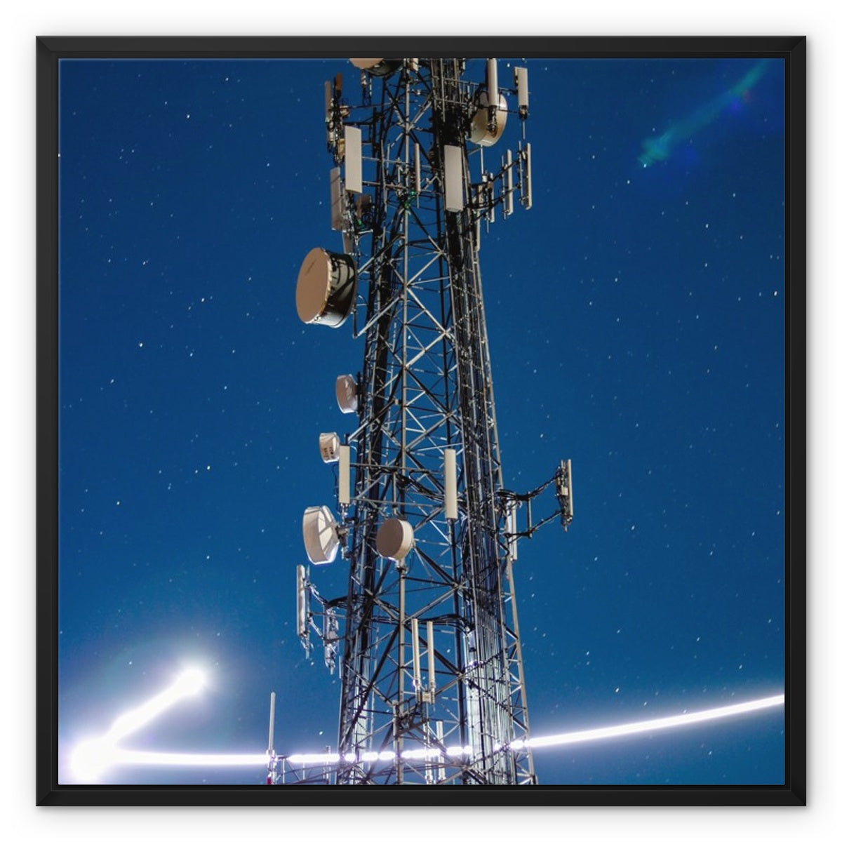 Silver Wings Framed Canvas