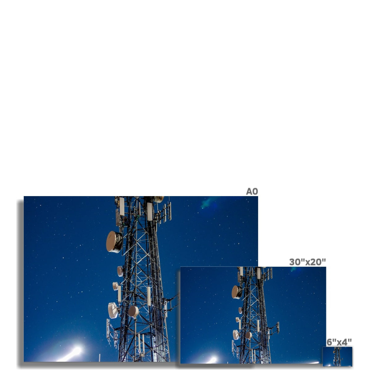 Silver Wings Rolled Canvas