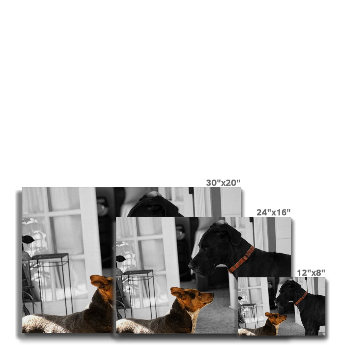 Stand Up (Martha & Duke) Eco Canvas