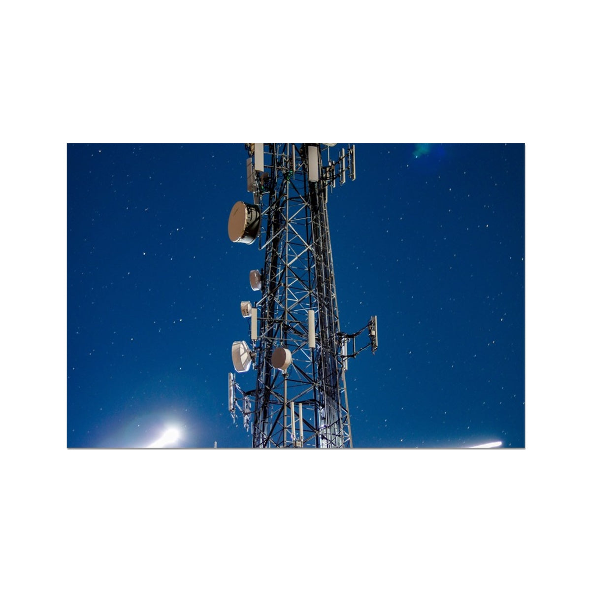 Silver Wings Hahnemühle German Etching Print