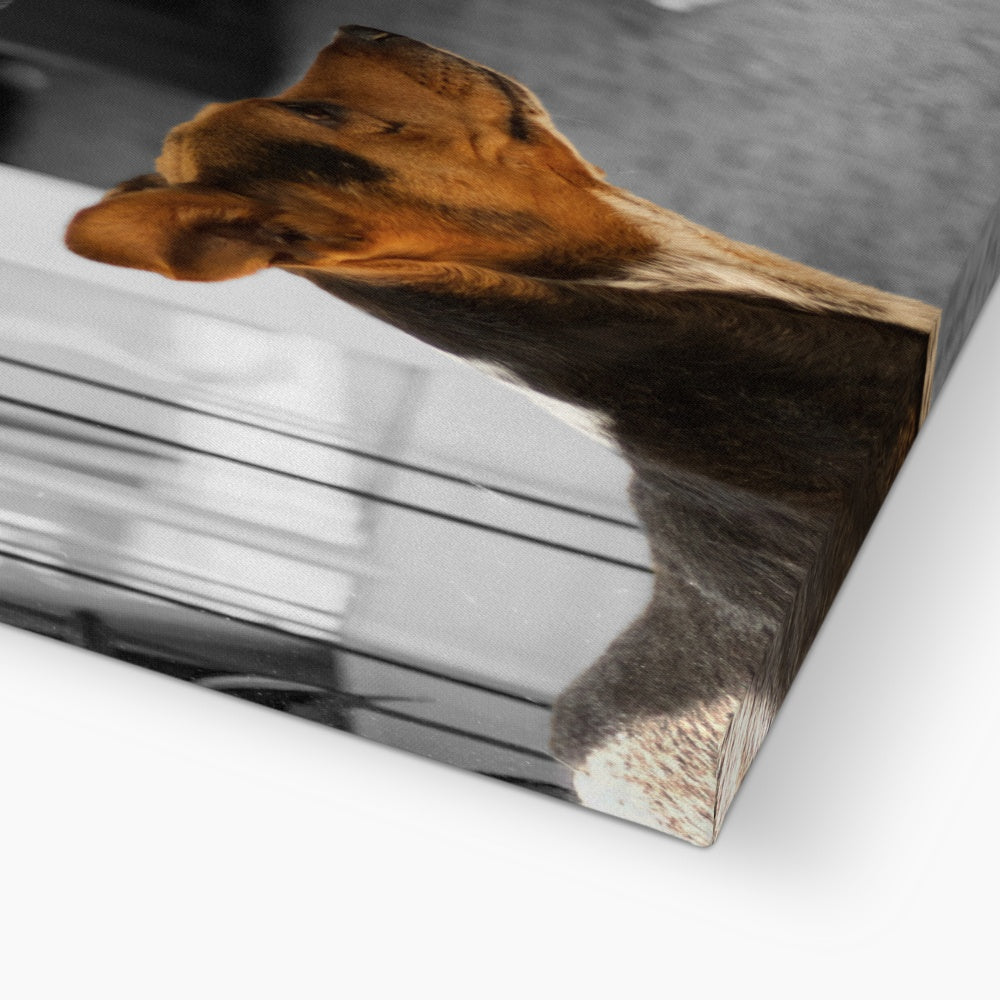 Stand Up (Martha & Duke) Eco Canvas