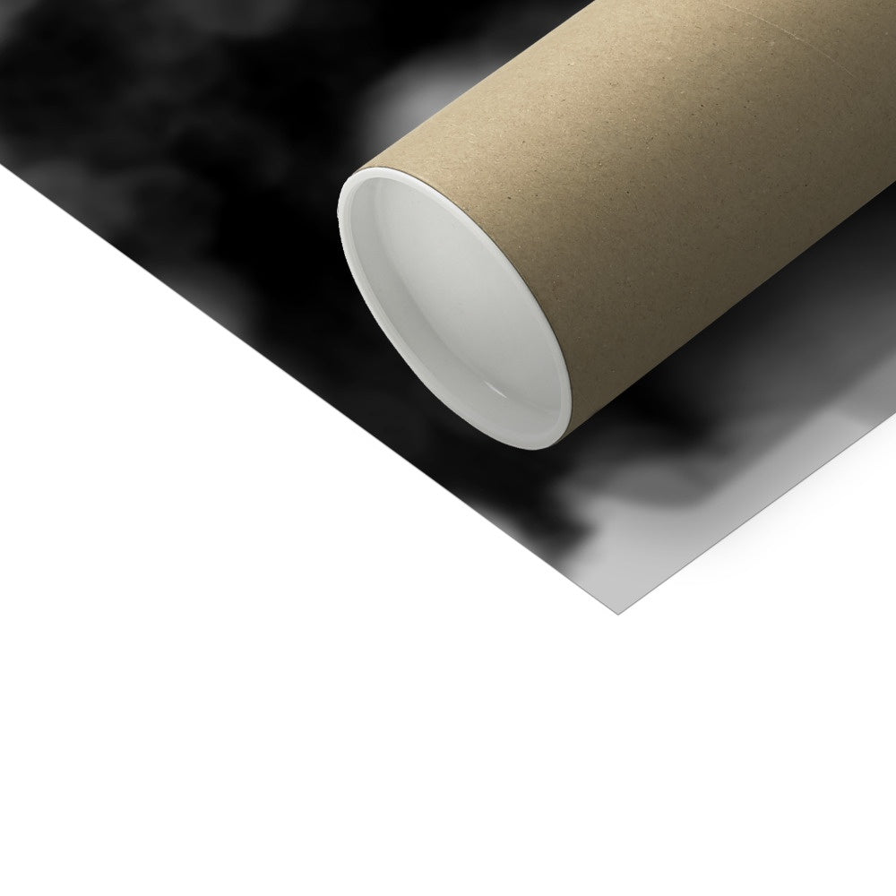 Sunflower Alone Hahnemühle Photo Rag Print