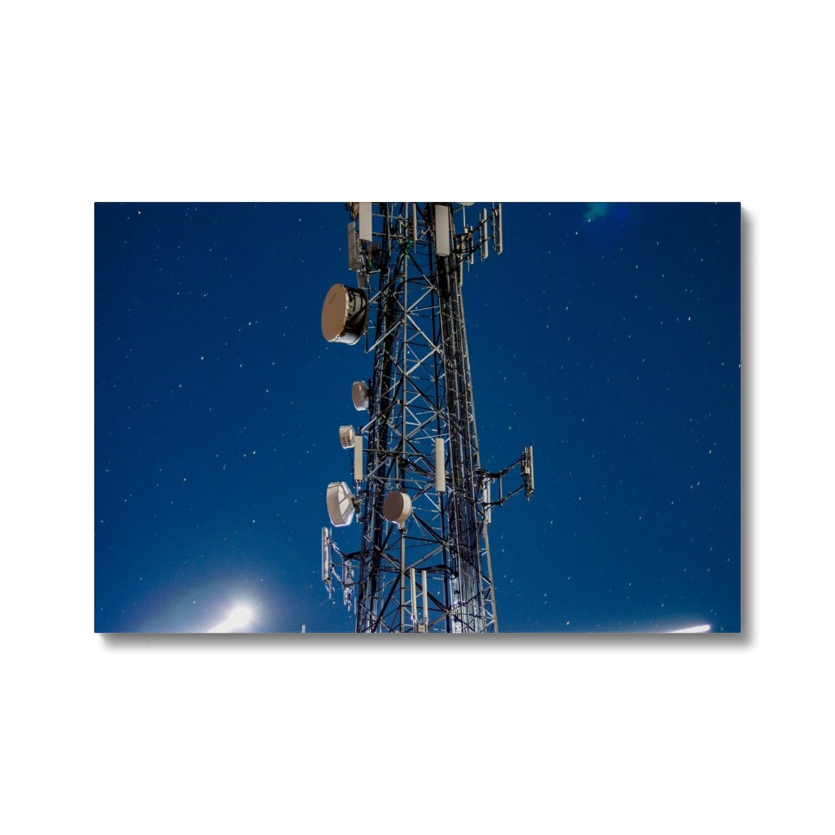 Silver Wings Eco Canvas