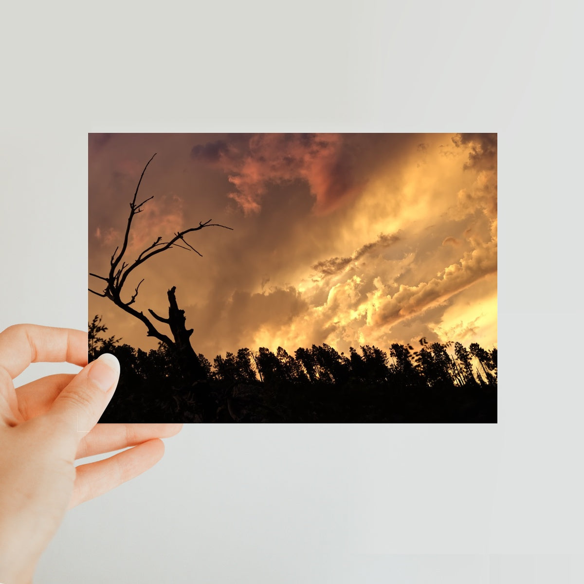 Tilted World Classic Postcard
