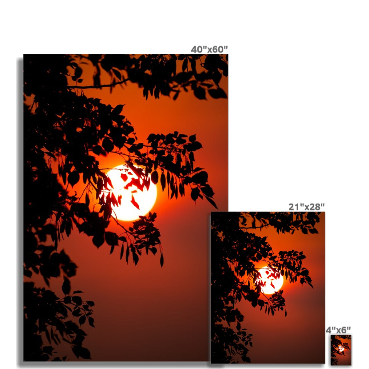 Fuoco Nel Cielo Wall Art Poster