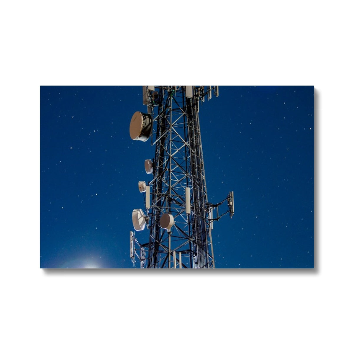 Silver Wings Eco Canvas