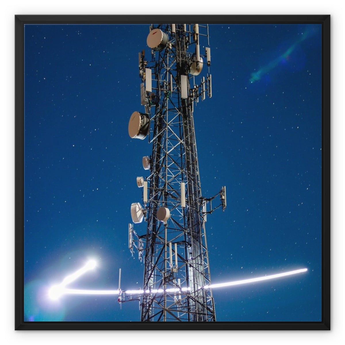 Silver Wings Framed Canvas