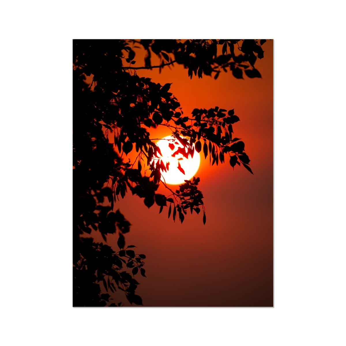 Fuoco Nel Cielo Wall Art Poster