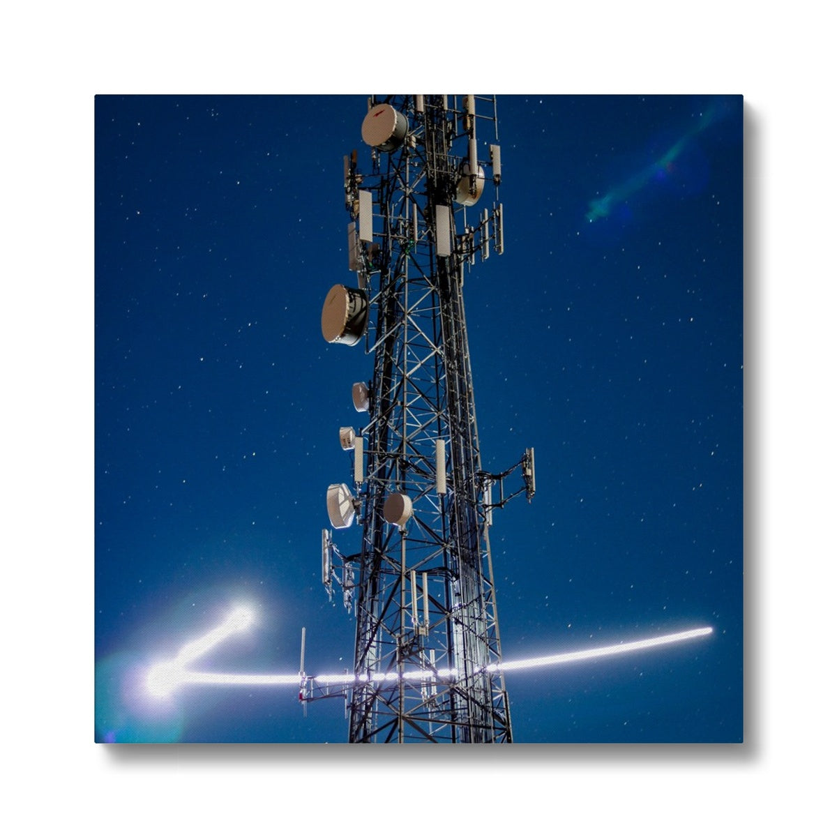 Silver Wings Eco Canvas