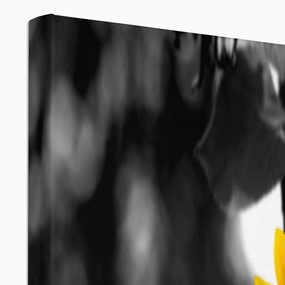 Sunflower Alone Eco Canvas