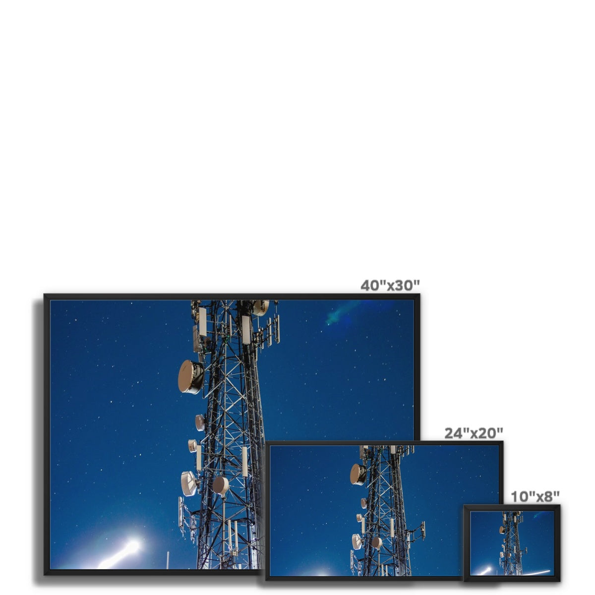 Silver Wings Framed Canvas