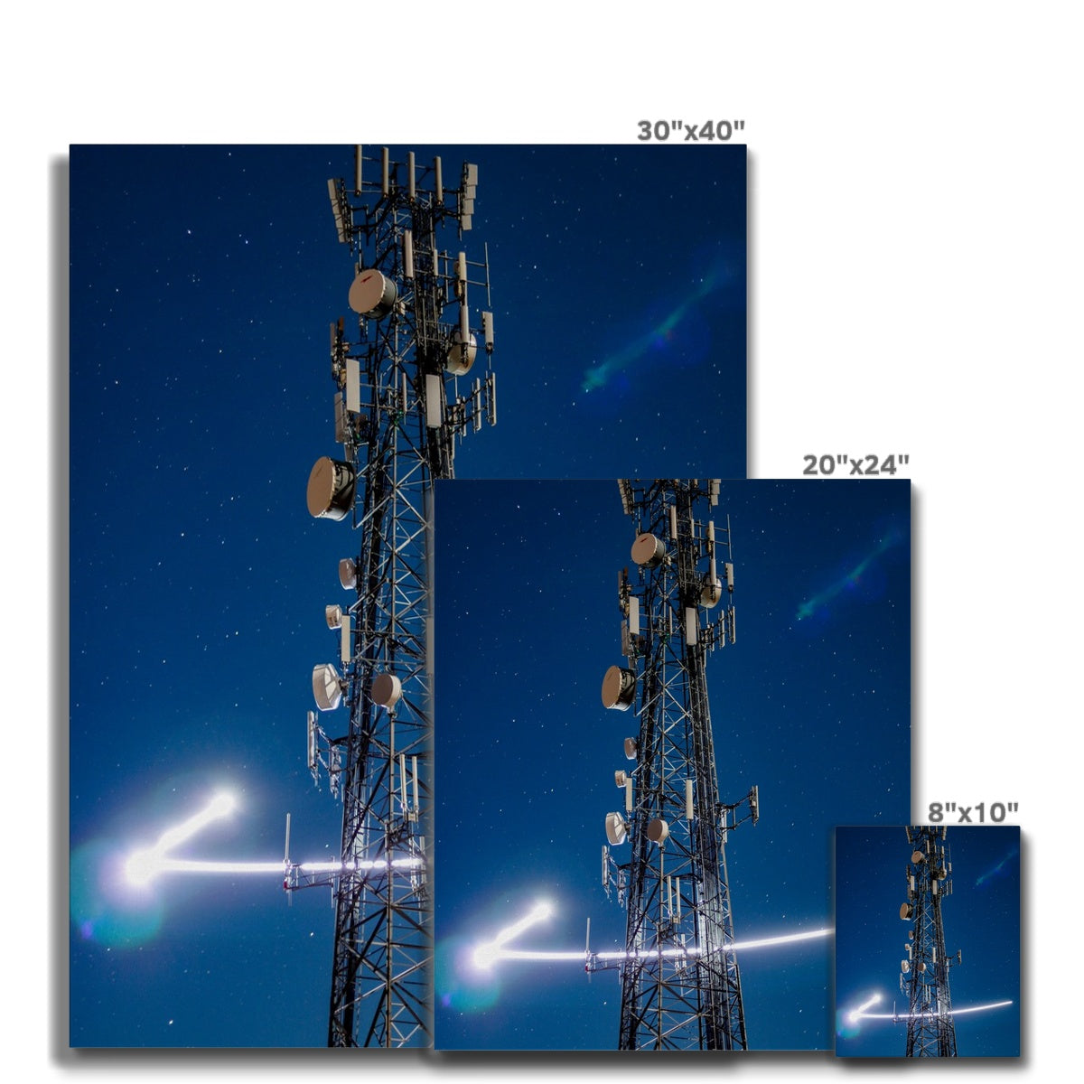 Silver Wings Canvas