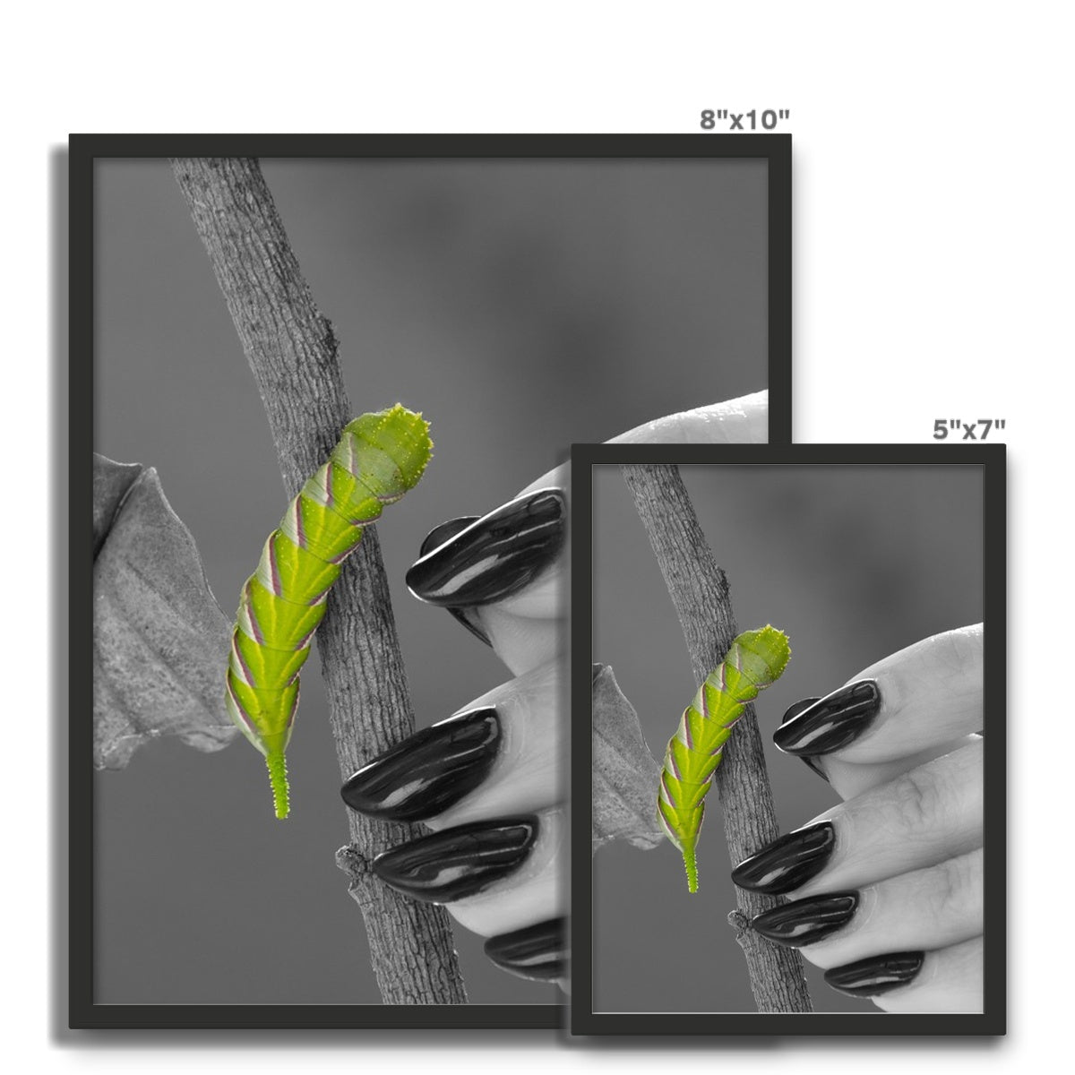Squeaks Framed Photo Tile
