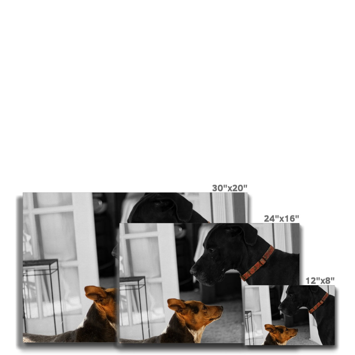 Stand Up (Martha & Duke) Eco Canvas