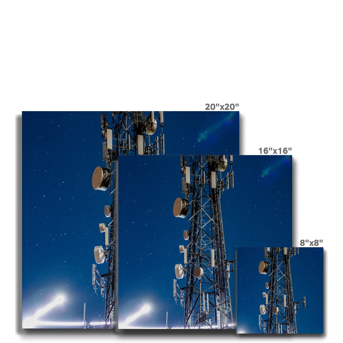 Silver Wings Eco Canvas