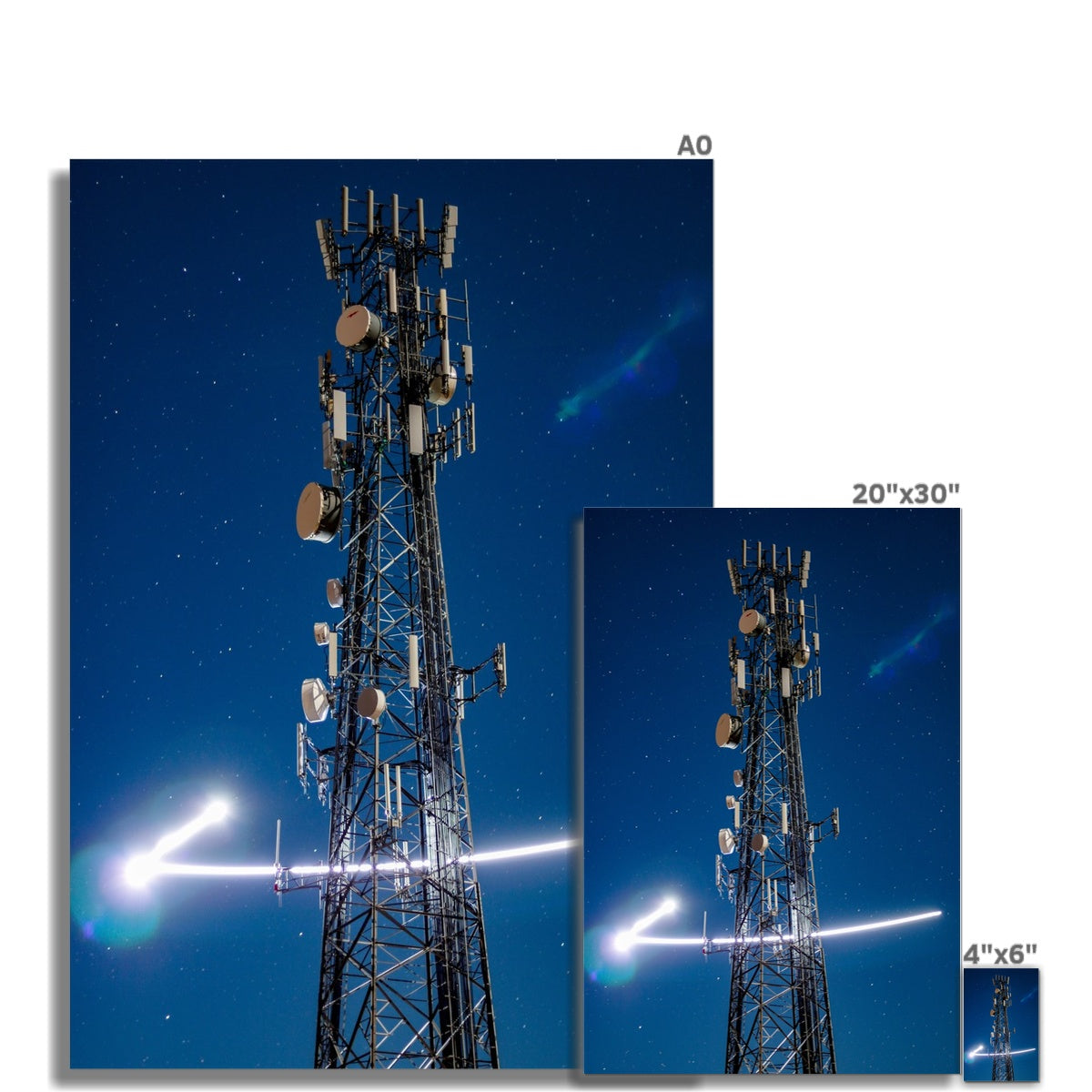 Silver Wings Rolled Canvas