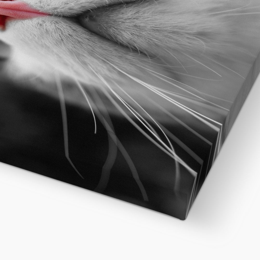 Pink Noses Canvas