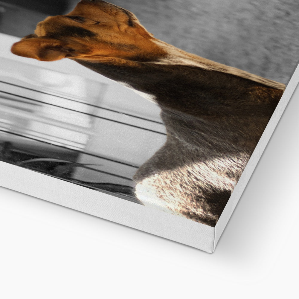 Stand Up (Martha & Duke) Eco Canvas