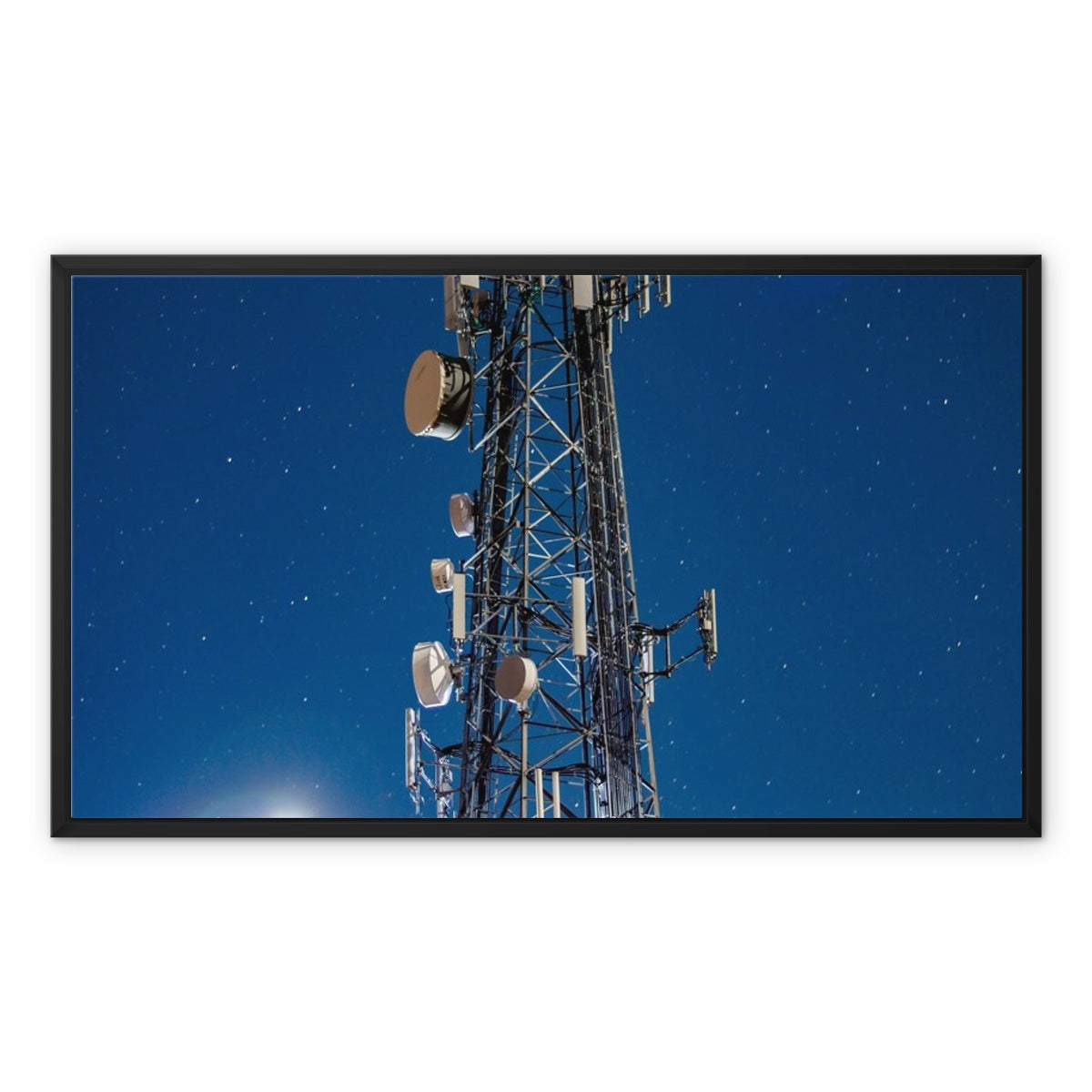 Silver Wings Framed Canvas