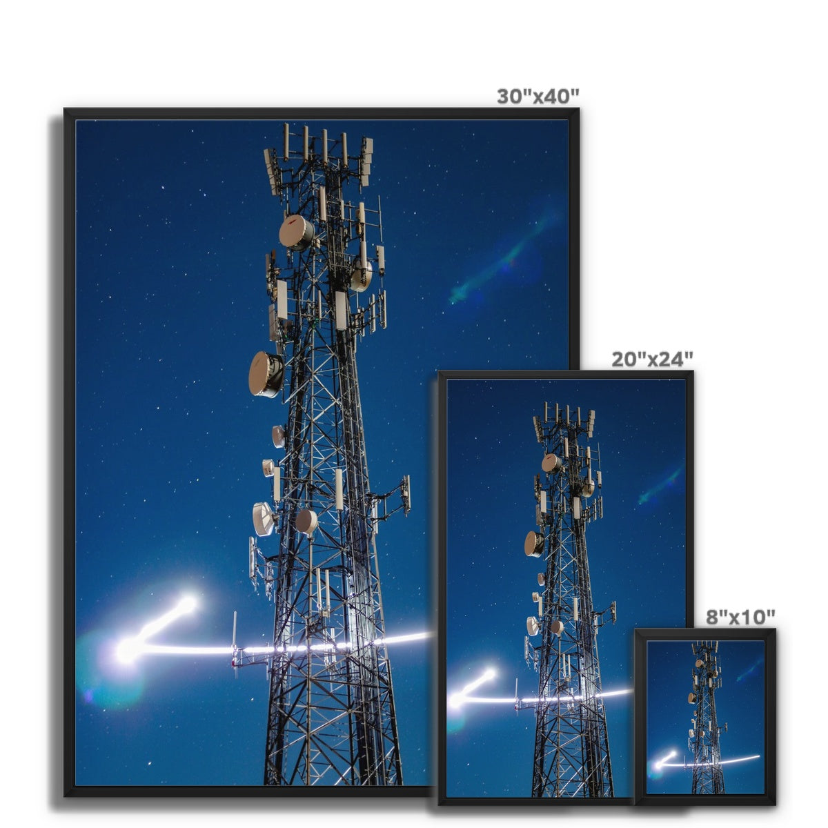 Silver Wings Framed Canvas