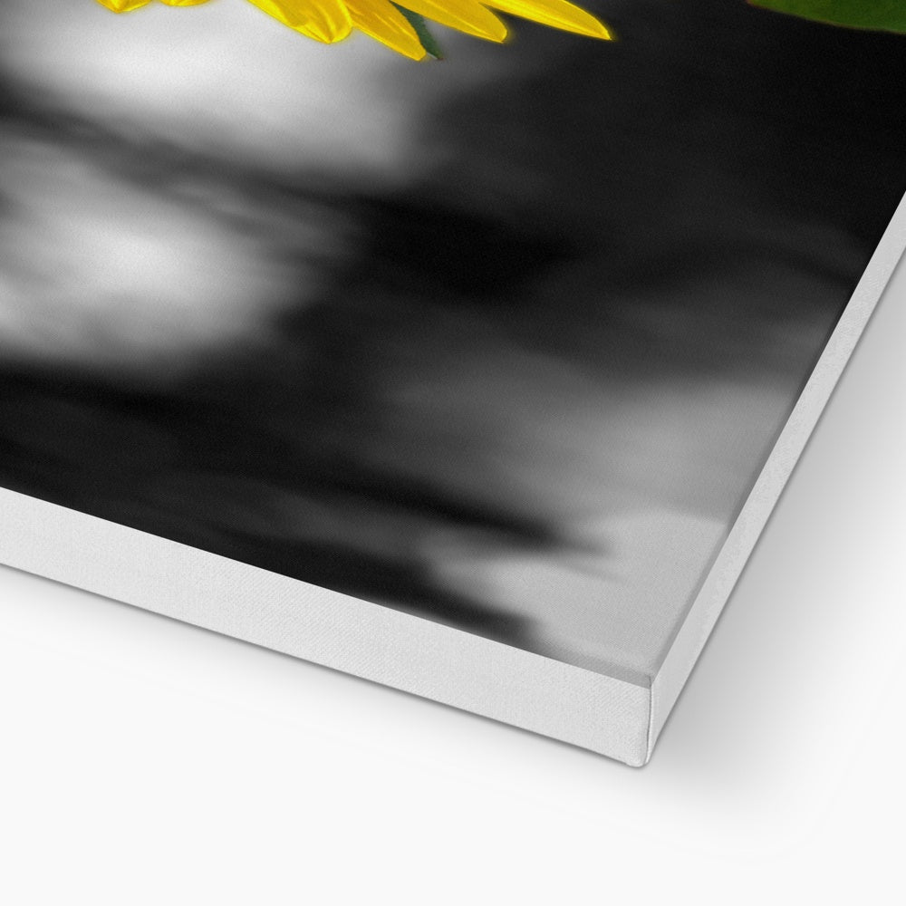 Sunflower Alone Eco Canvas