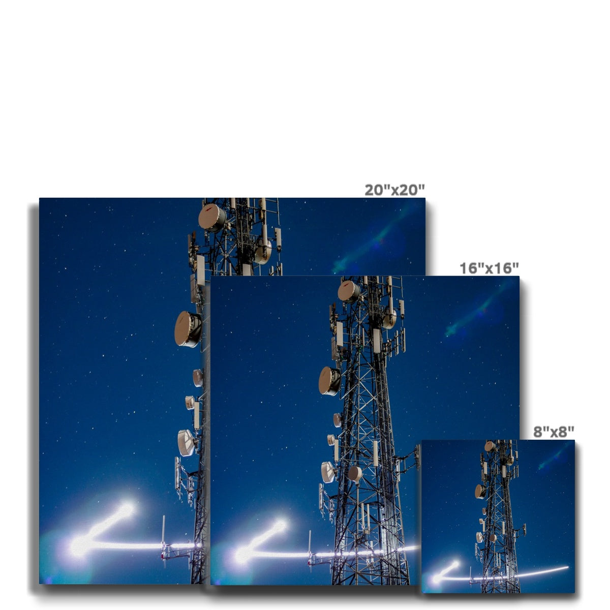 Silver Wings Eco Canvas