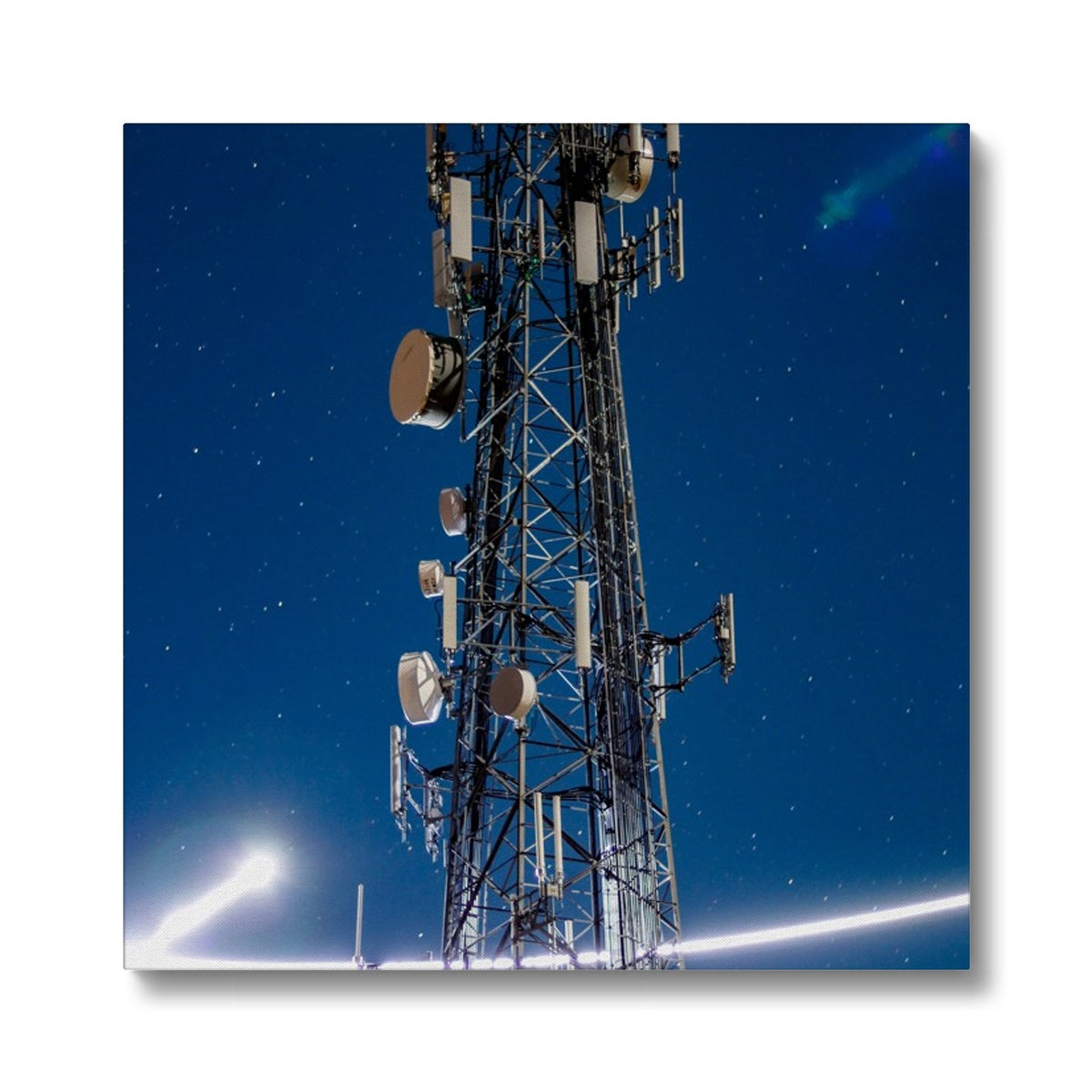 Silver Wings Eco Canvas